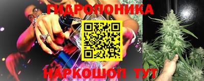 трава Камышлов