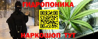 крисы Канаш
