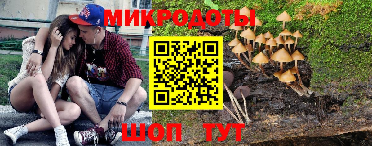 Псилоцибиновые грибы прущие грибы Петрозаводск