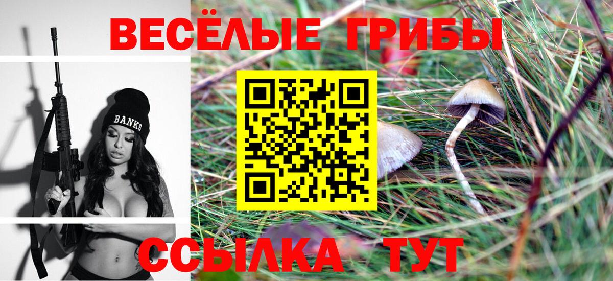 закладка  Вход с VPN  Псилоцибиновые грибы прущие грибы  Петрозаводск  Псилоцибиновые грибы мицелий 